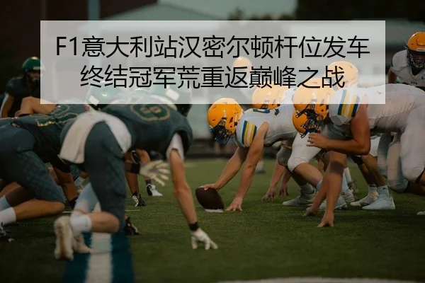 yi-da-li-zhan-han-mi-er-dun-gan-wei-fa-che-zhong-jie-guan-jun-huang-chong-fan-dian-feng-zhi-zhan-2-523.jpg